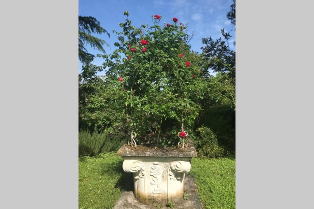 Casa La Torre Un Castello Alle Porte Di Firenze Екстериор снимка